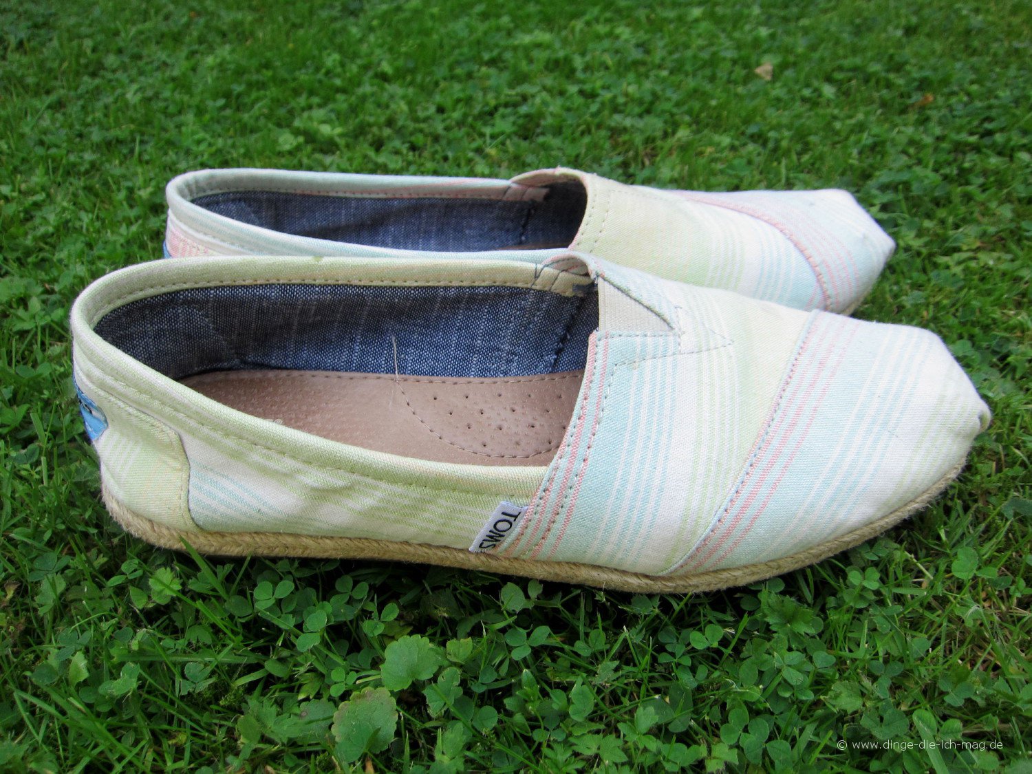 toms-1