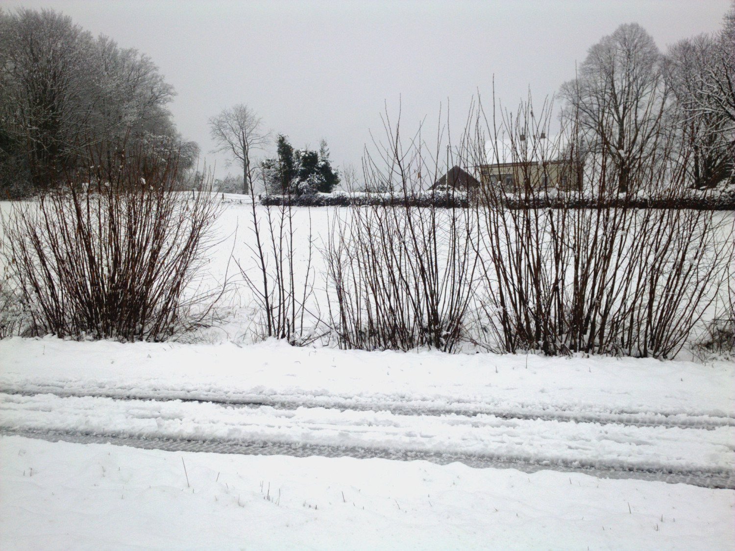 schnee-1