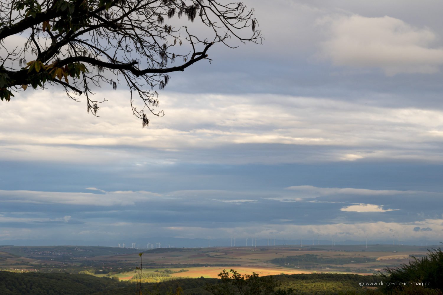 dannefels